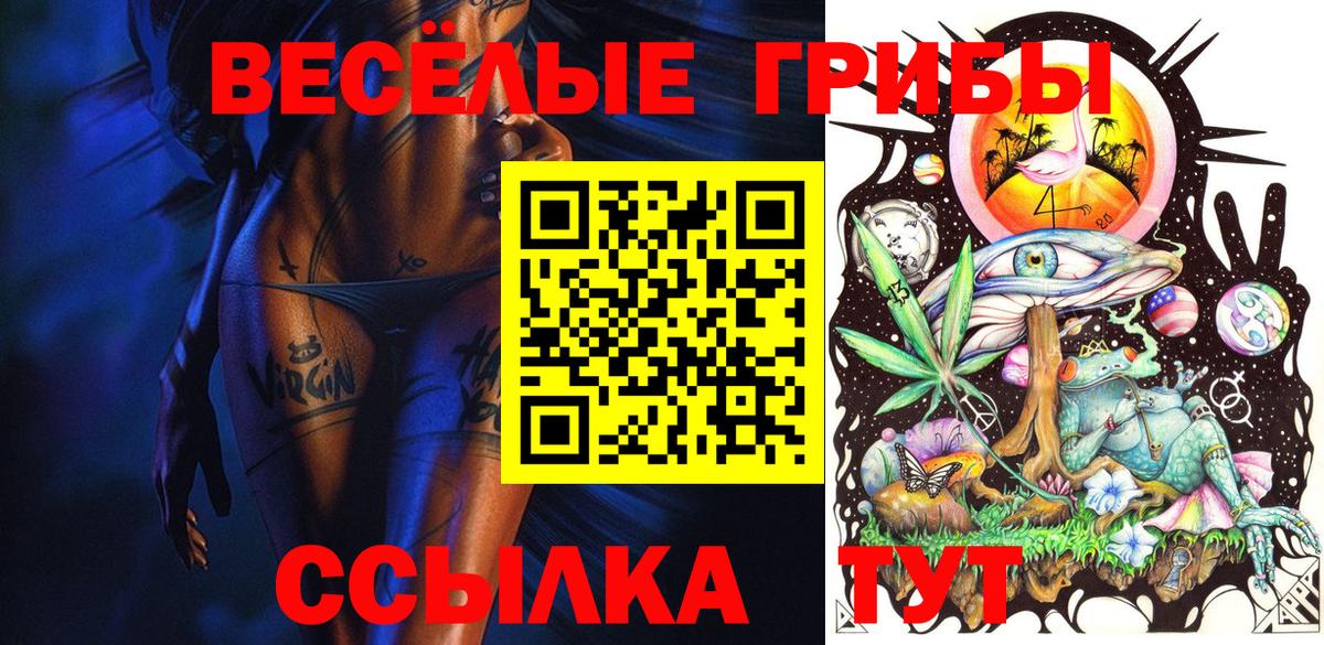 Псилоцибиновые грибы MAGIC MUSHROOMS  Вход с VPN  Шатура 